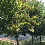Casa De Madeira Palmaz