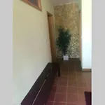 Casa De Madeira アパート *