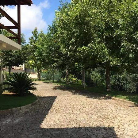 Apartamento Casa De Madeira Palmaz