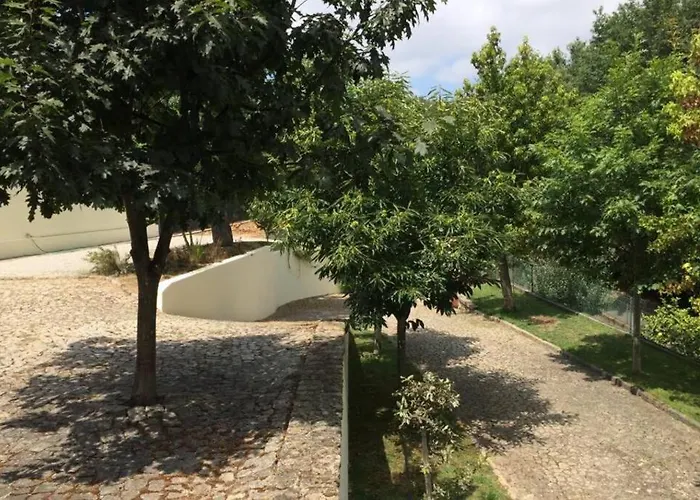 Apartamento Casa De Madeira Palmaz