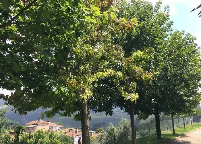 Casa De Madeira Palmaz